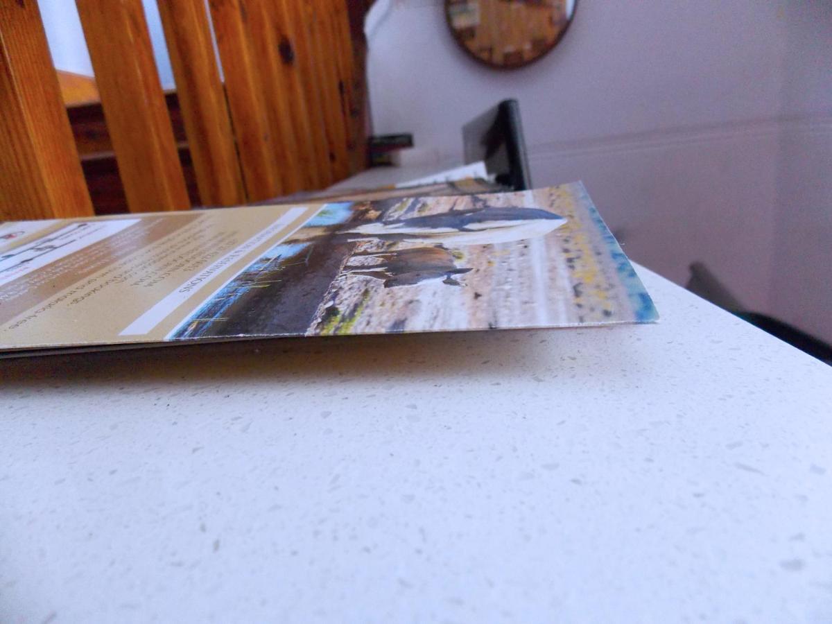 Trap Houz Backpackers Hostel Cape Town Exterior photo